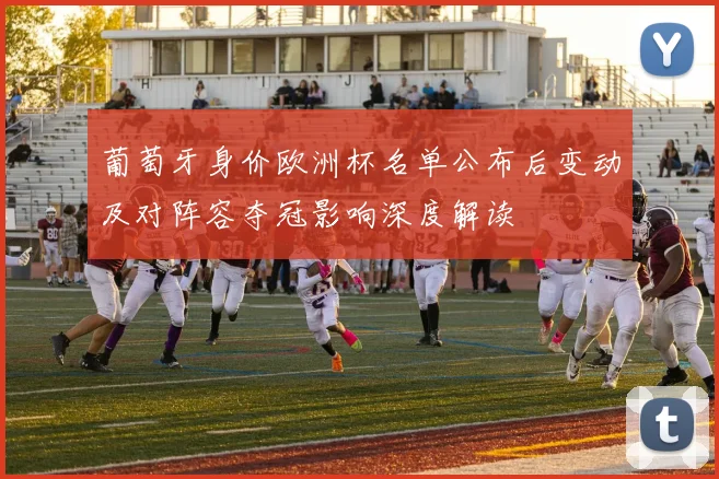 葡萄牙身价欧洲杯名单公布后变动及对阵容夺冠影响深度解读