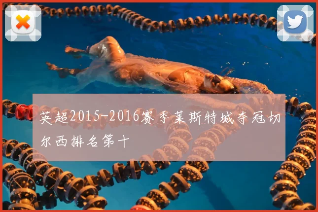 英超2015-2016赛季莱斯特城夺冠切尔西排名第十