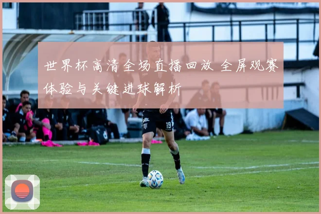 世界杯高清全场直播回放 全屏观赛体验与关键进球解析