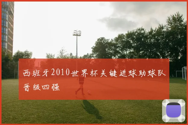 西班牙2010世界杯关键进球助球队晋级四强