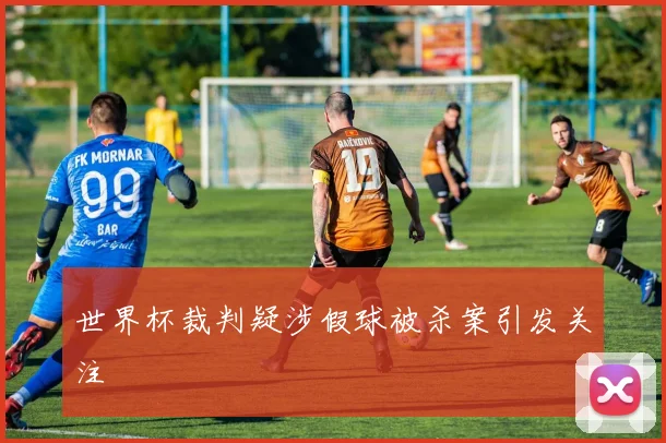 世界杯裁判疑涉假球被杀案引发关注