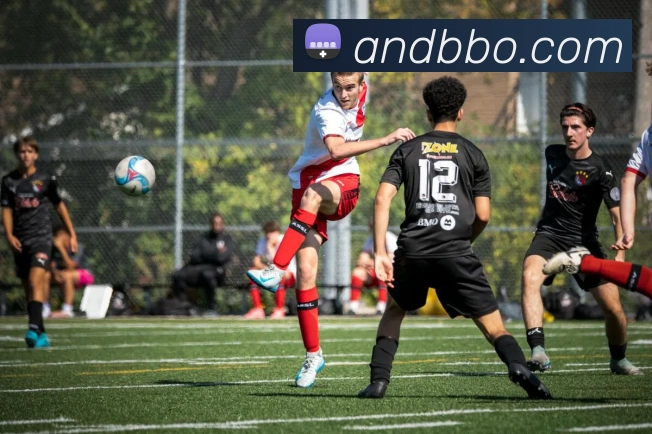 人人体育在线直播平台生态图